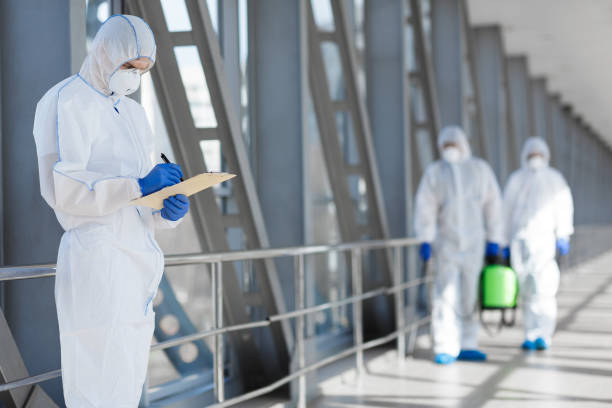 Reliable Mcgregor, FL Mold Removal Solutions